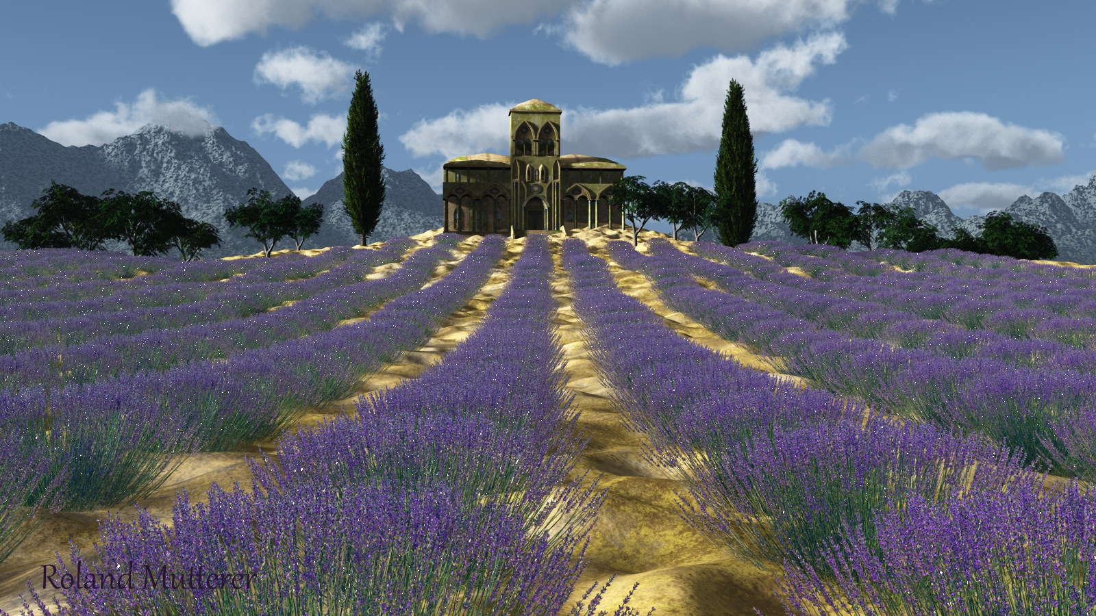 Lavendel