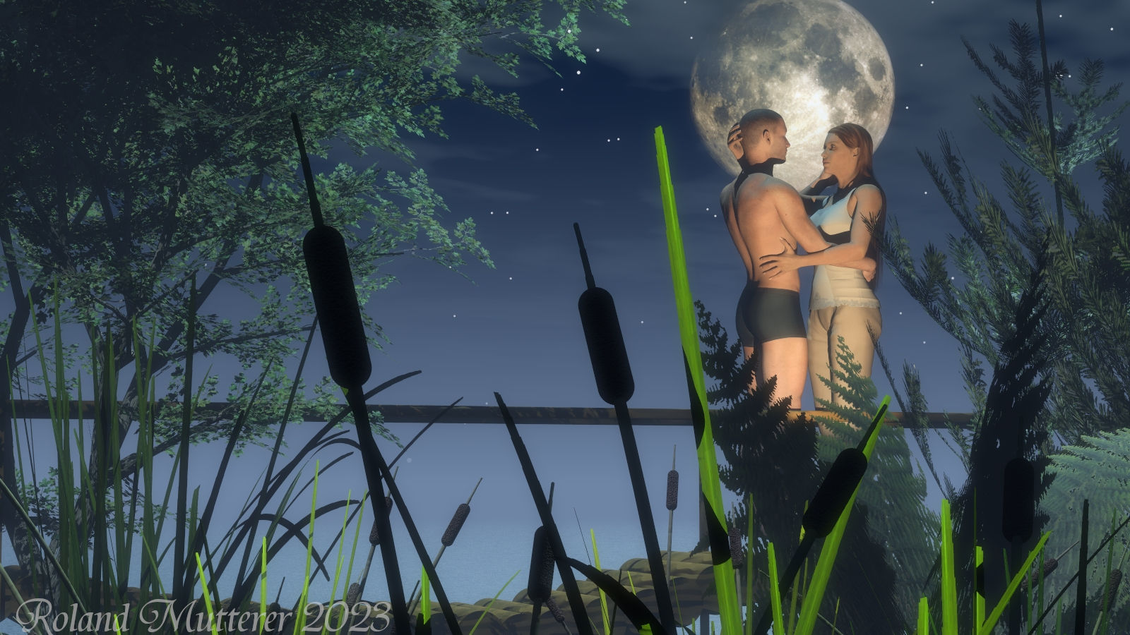 lovers in the moonlight