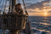 die Piraten