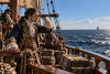 die Piraten