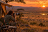 in der Serengeti
